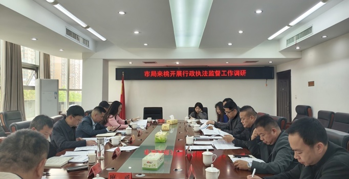 常德市自然资源和规划局开展行政执法监督专题调研