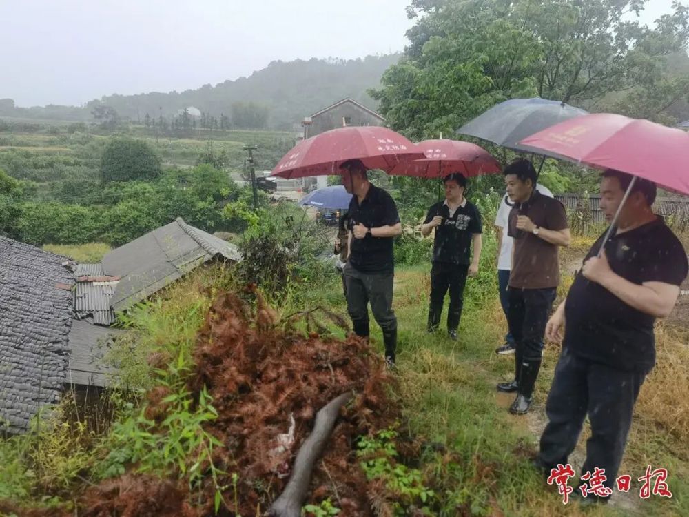 市自然资源规划局相关负责人在临澧县督导检查地质灾害防治工作。