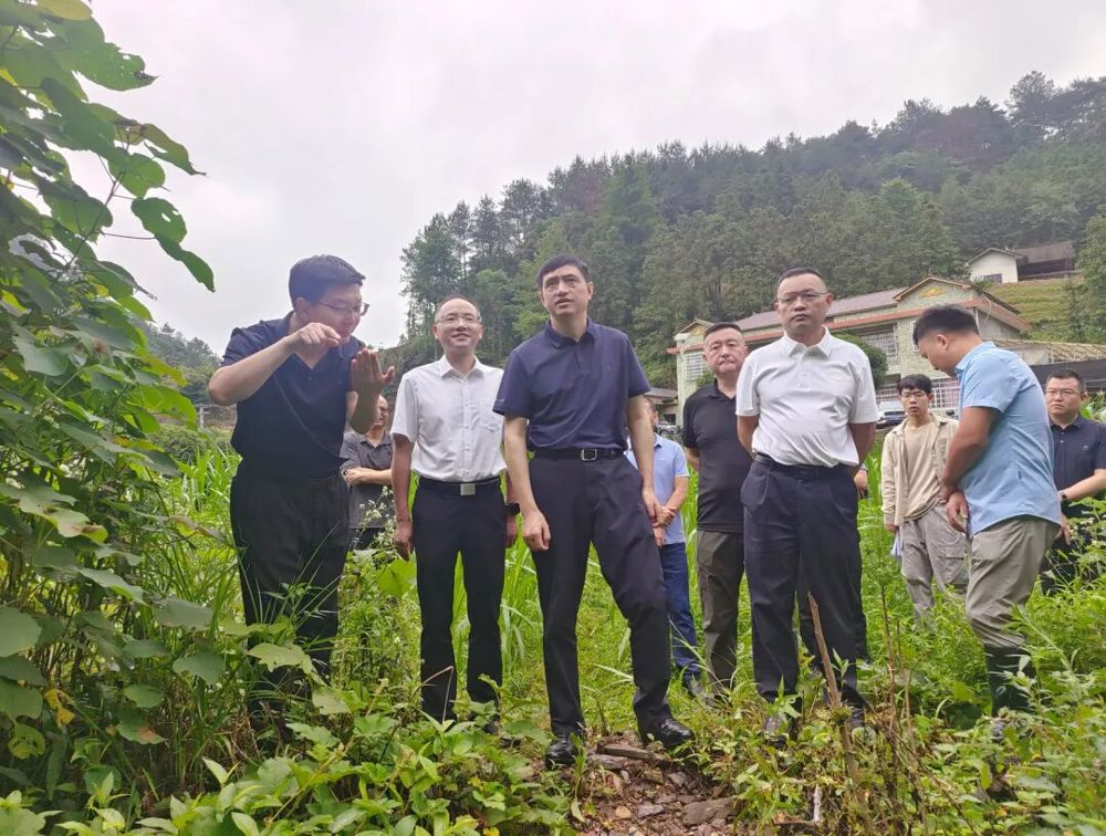 督导现场