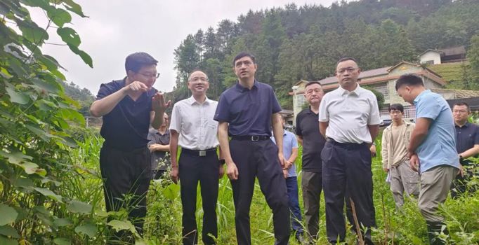 省自然资源厅来常督导废弃矿洞排查封堵整治、信访积案化解相关工作