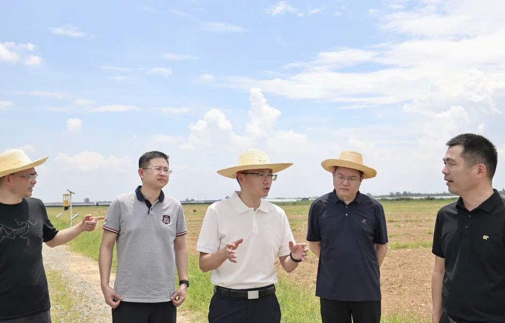 调研现场