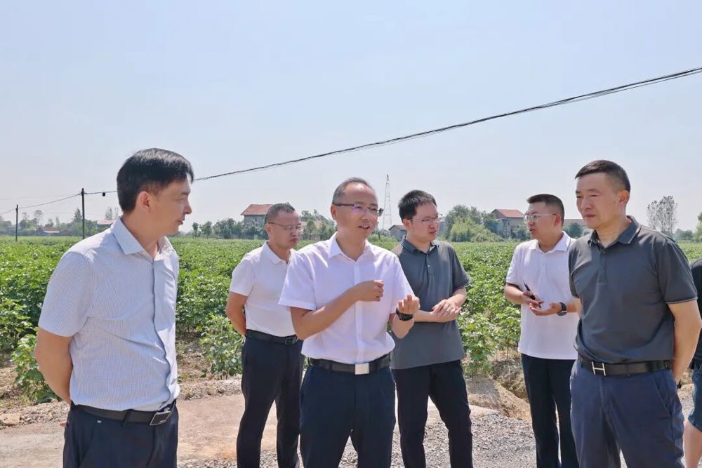 调研现场