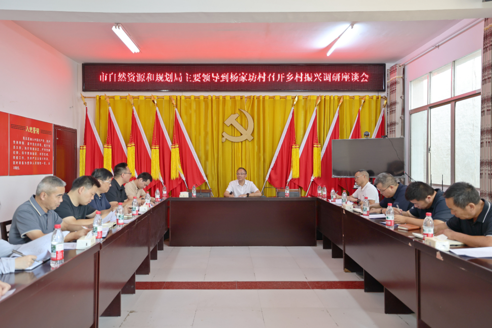 杨家坊村座谈会现场